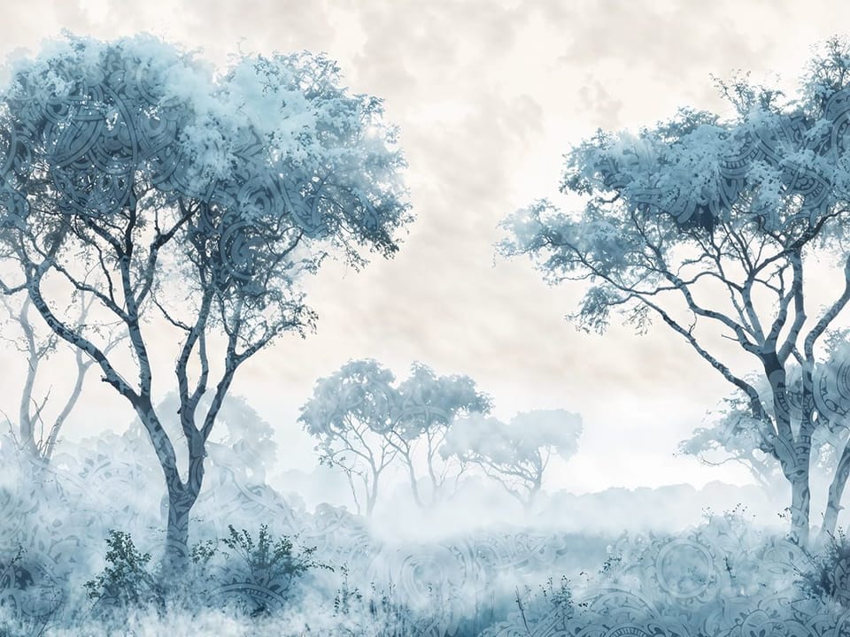 Fototapeta Drzewa w mglistym krajobrazie