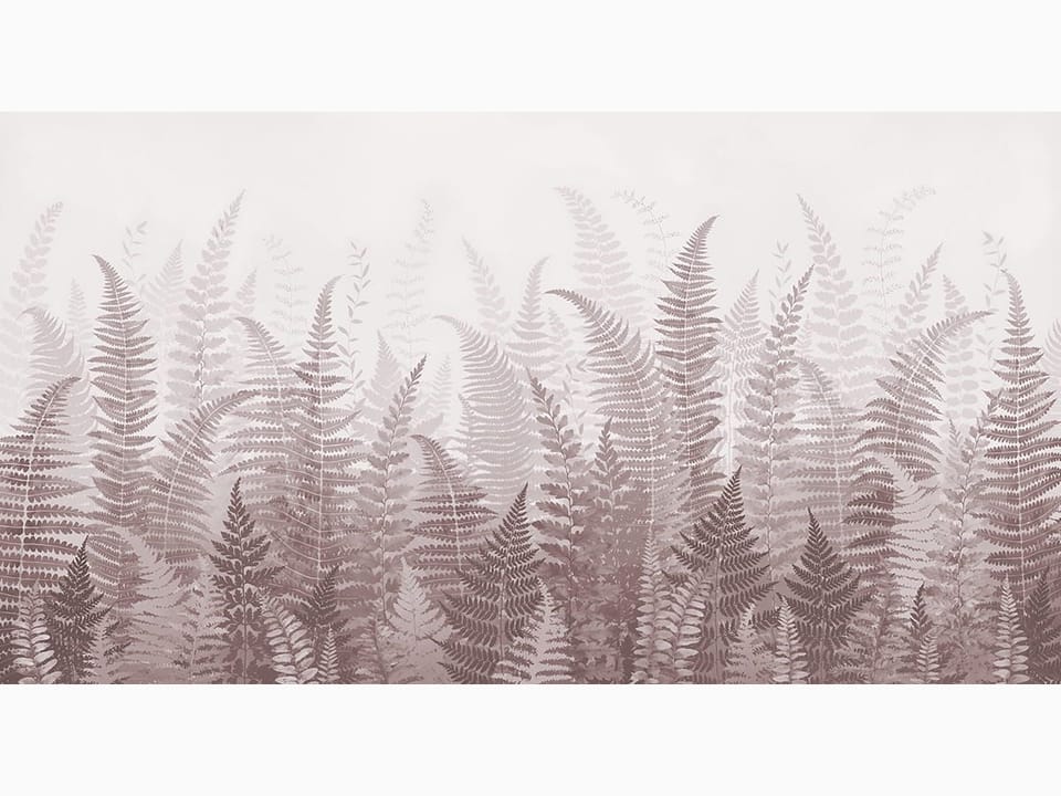 Fototapeta Gęsta Kompozycja Paproci