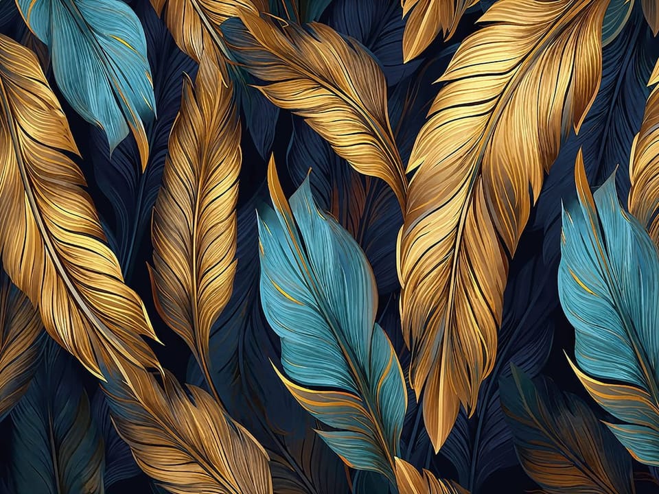 Fototapeta Kolorowe pióra na ciemnym tle