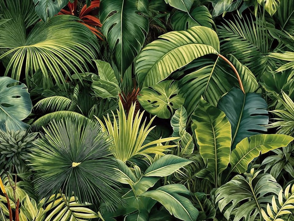 Fototapeta Tropikalne liście w zieleni