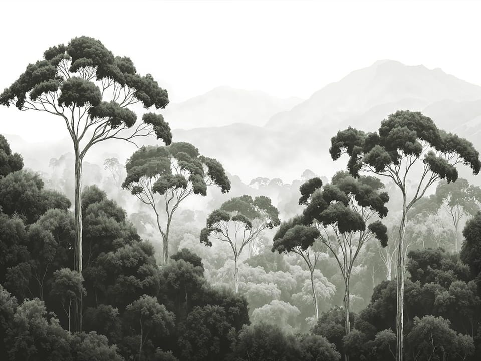 Fototapeta Wysokie drzewa w gęstym lesie