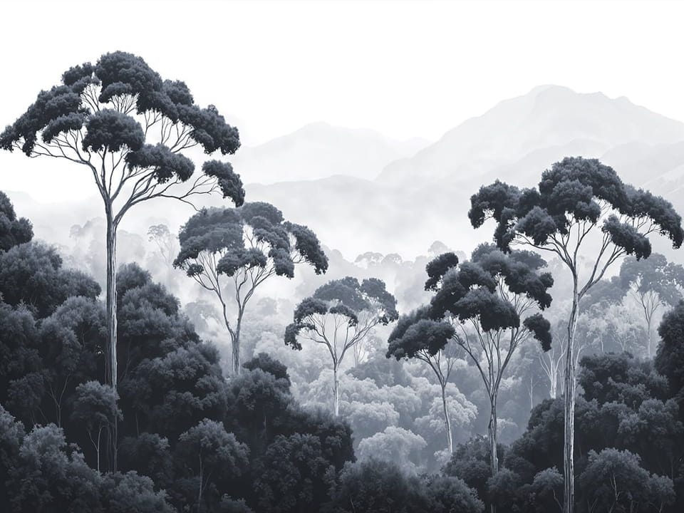 Fototapeta Leśne drzewa i mgła w tle