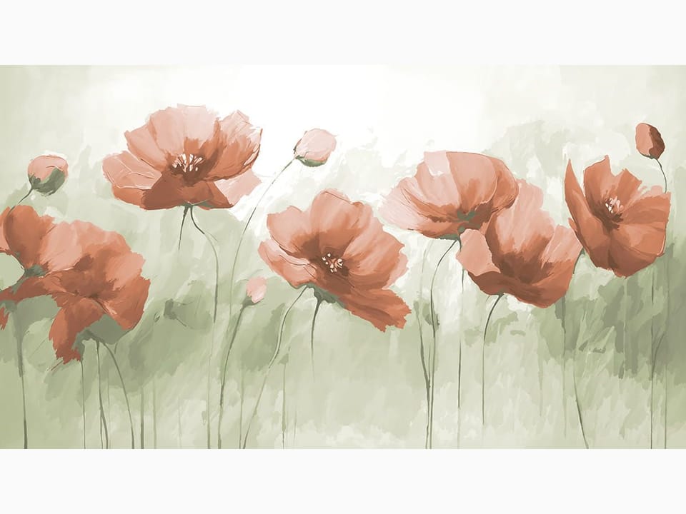 Fototapeta Czerwone maki na zielonym tle