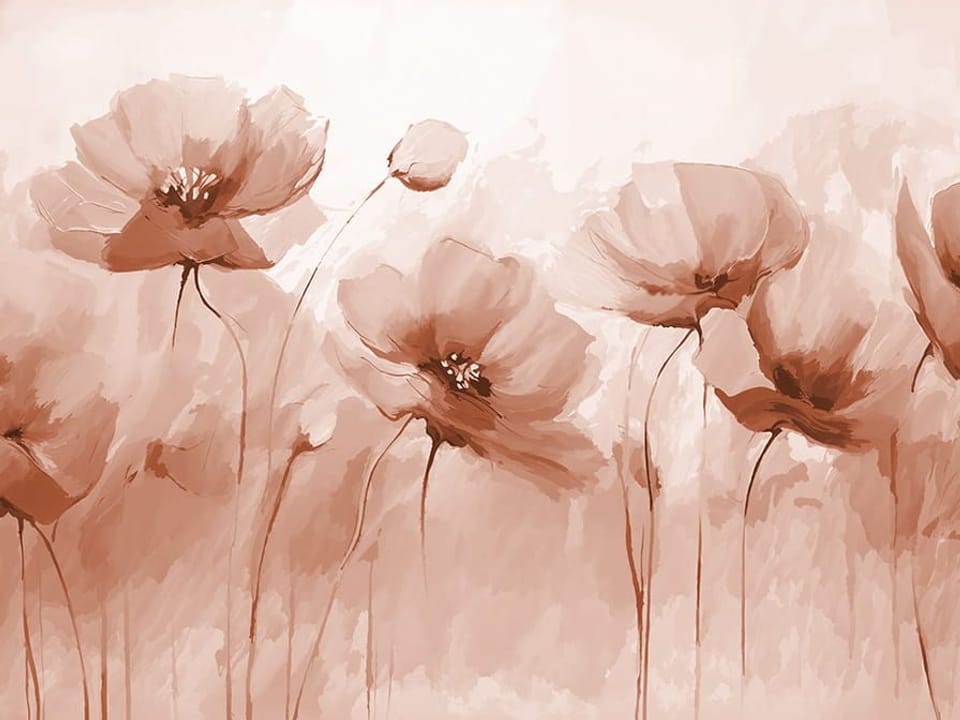 Fototapeta Maki na długich łodygach