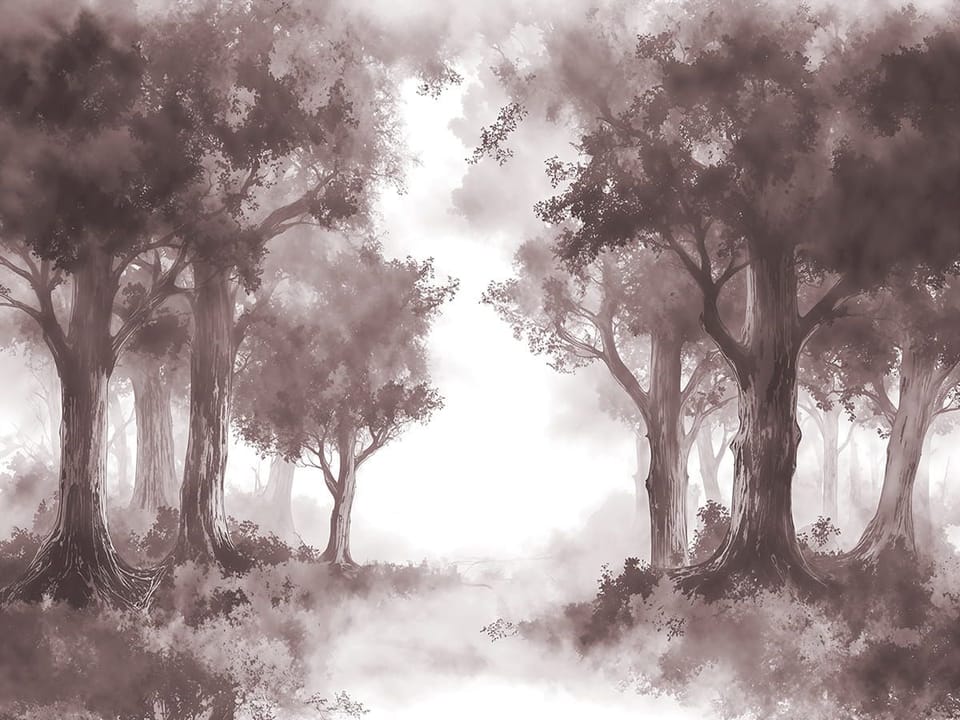 Fototapeta Gęsty las z wysokimi drzewami