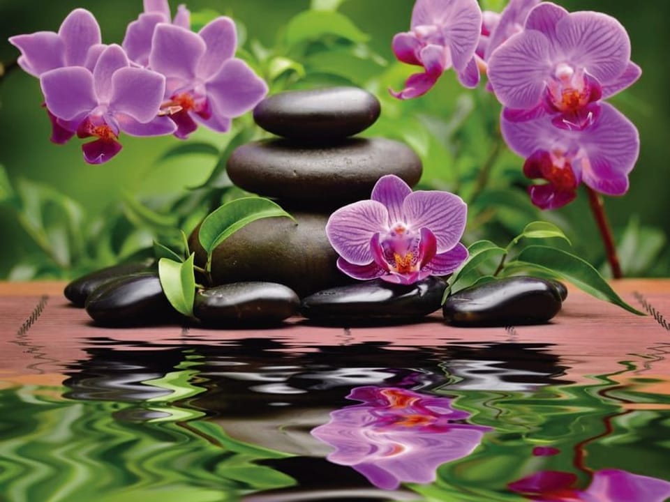 Fototapeta Kamienie i orchidee w harmonii na wymiar