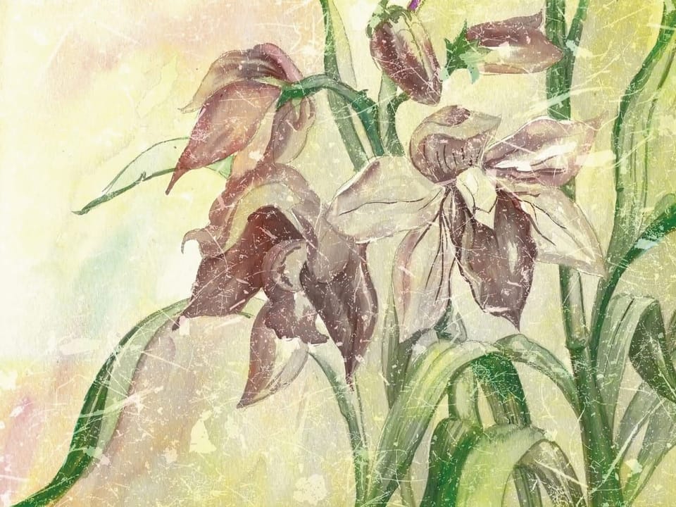 Fototapeta Lilie na jasnym tle z liśćmi