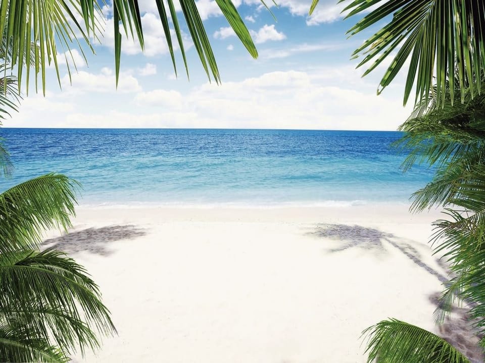 Fototapeta Plaża z palmami i oceanem na wymiar