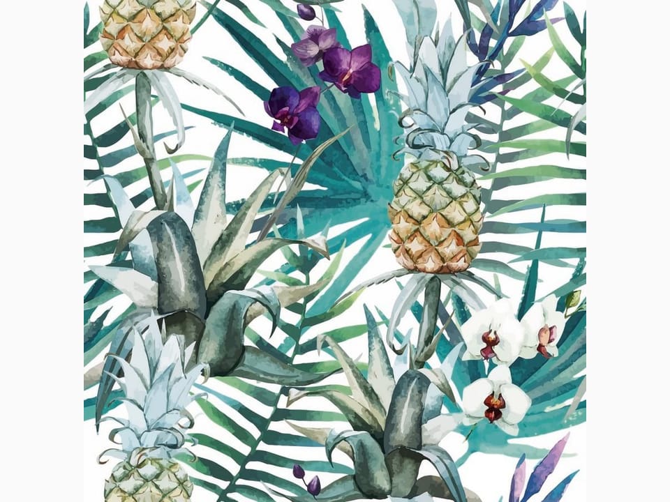 Fototapeta Tropikalne Ananasy i Orchidee na wymiar