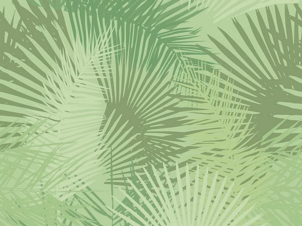 Fototapeta Zielone liście palmowe na wymiar