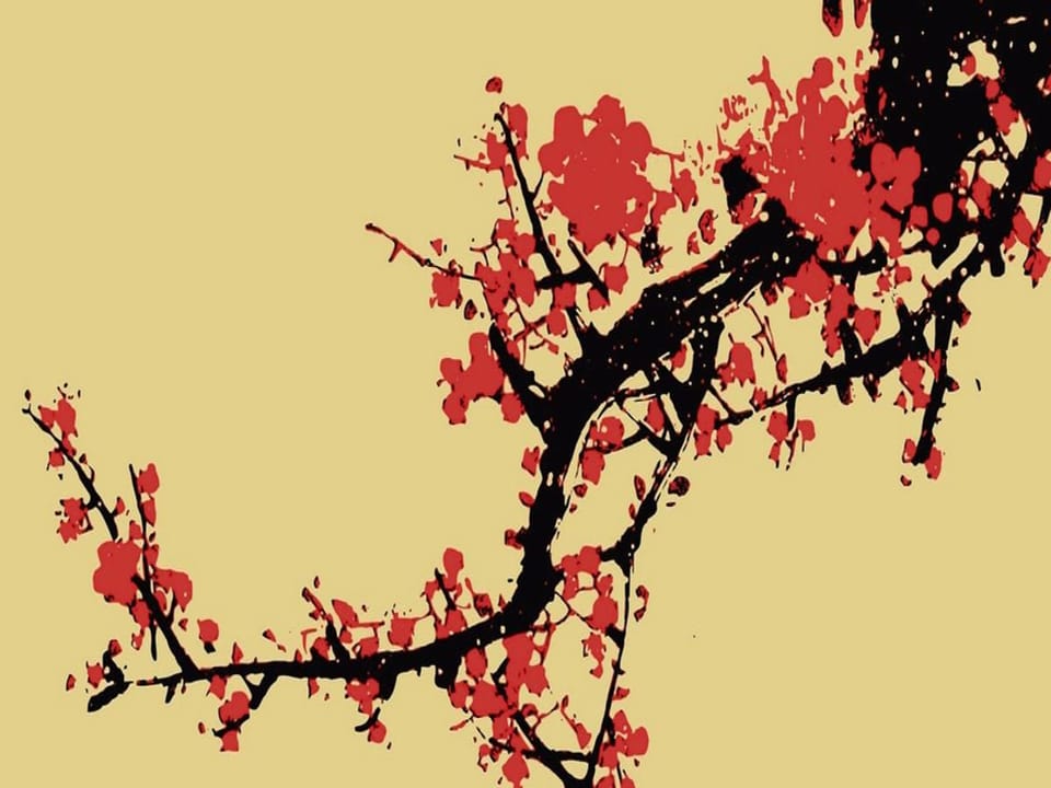 Fototapeta Sakura na gałęzi drzewa na wymiar