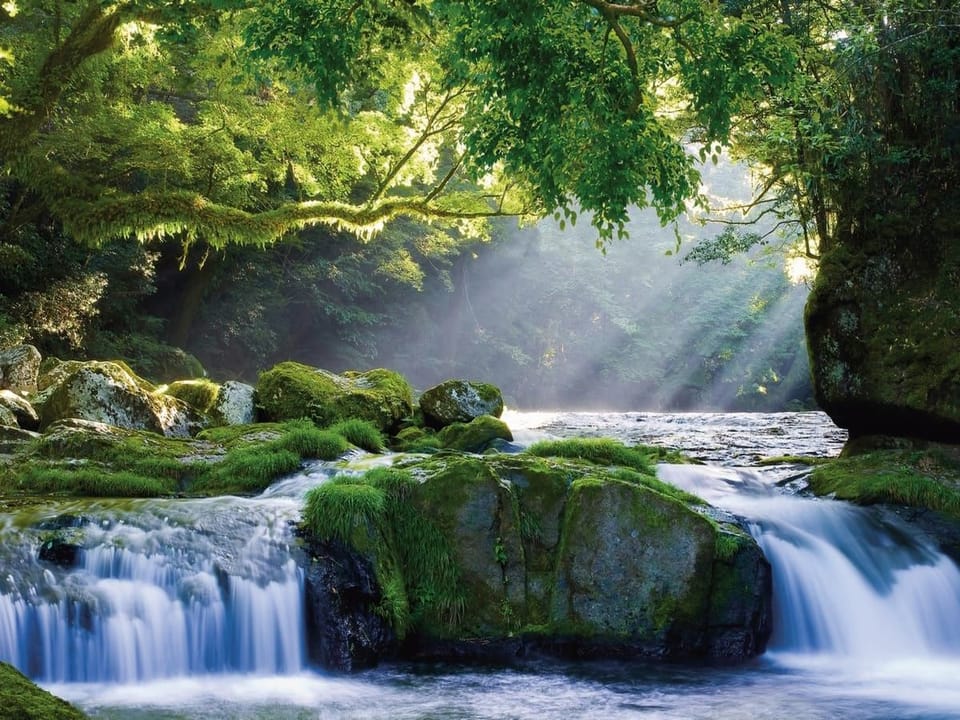 Fototapeta Leśny wodospad z kamieniami