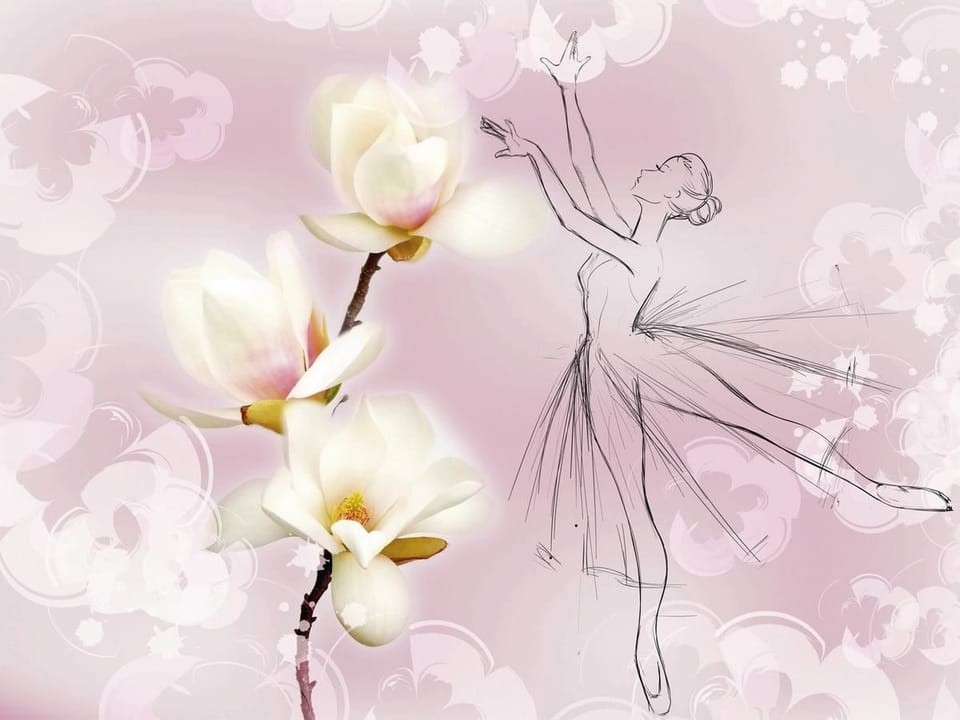 Fototapeta Kwiaty magnolii i baletnica na wymiar