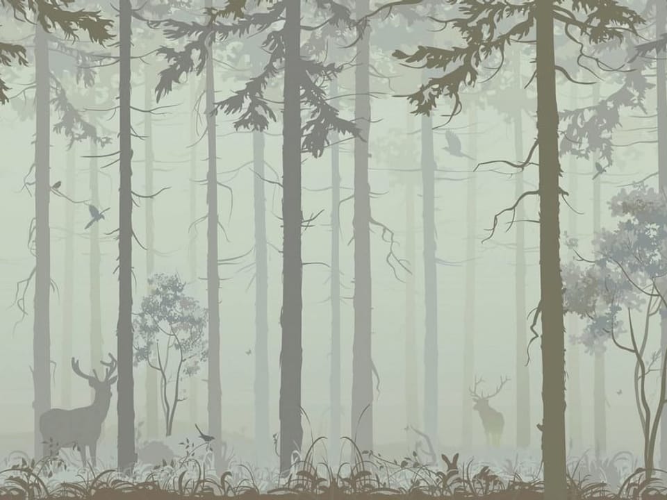 Fototapeta Las z Jeleniami i Mgłą na wymiar