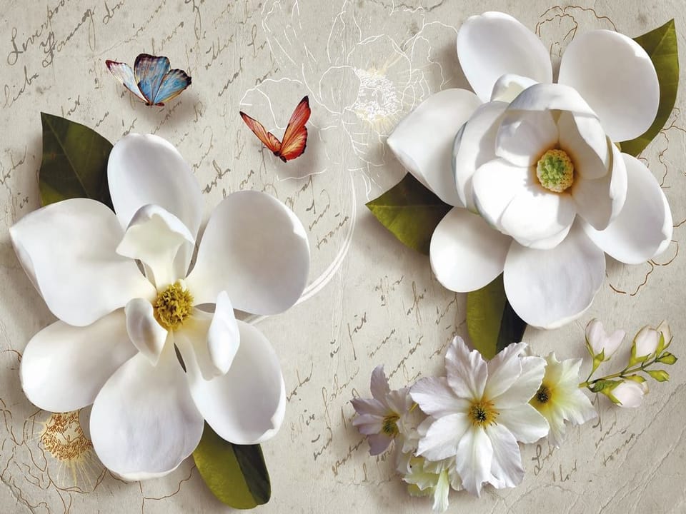 Fototapeta Białe kwiaty magnolii na tle na wymiar