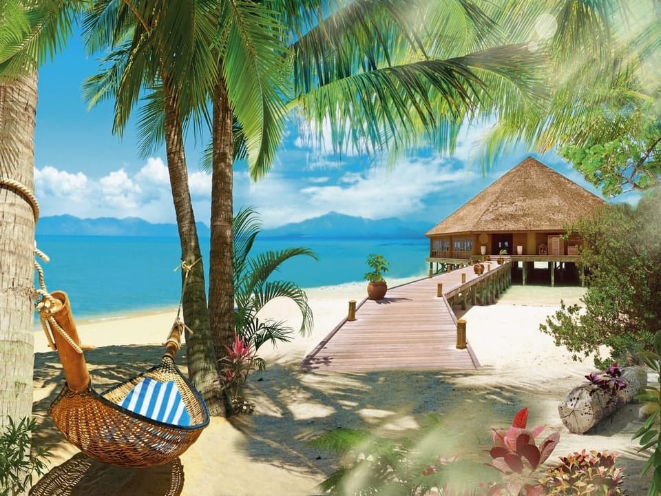 Fototapeta Plaża z palmami i domkiem na wymiar