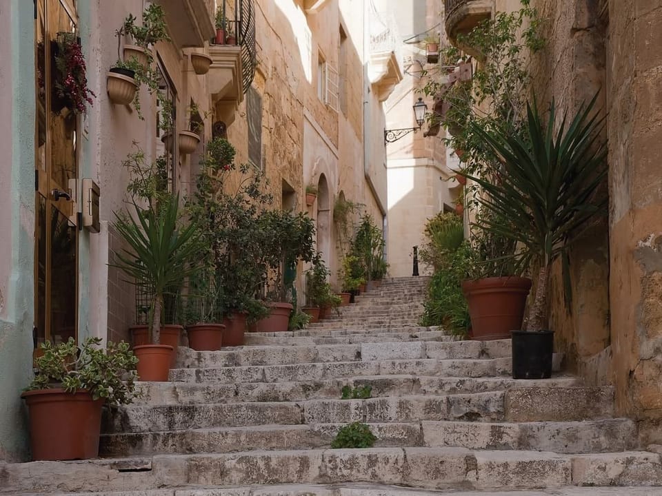 Fototapeta Kamienne schody z roślinami