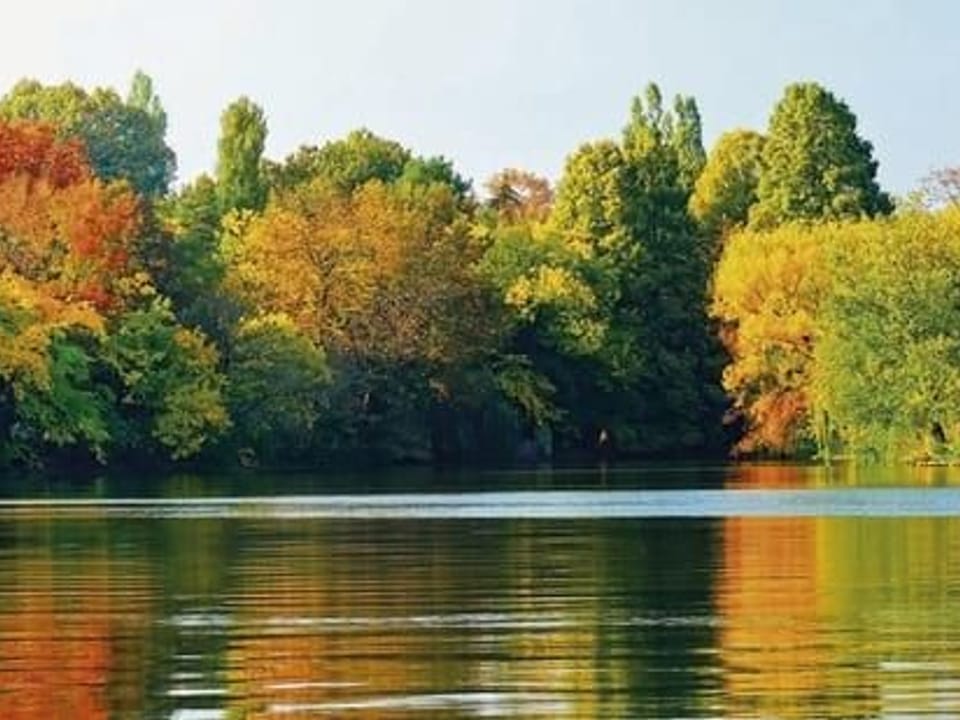 Fototapeta Jezioro z jesiennymi drzewami na wymiar
