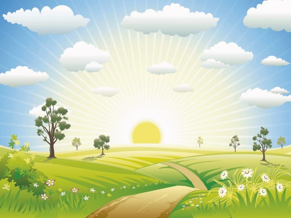 Fototapeta Wschód słońca nad zielonymi polami