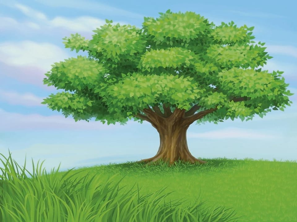 Fototapeta Zielone drzewo na łące