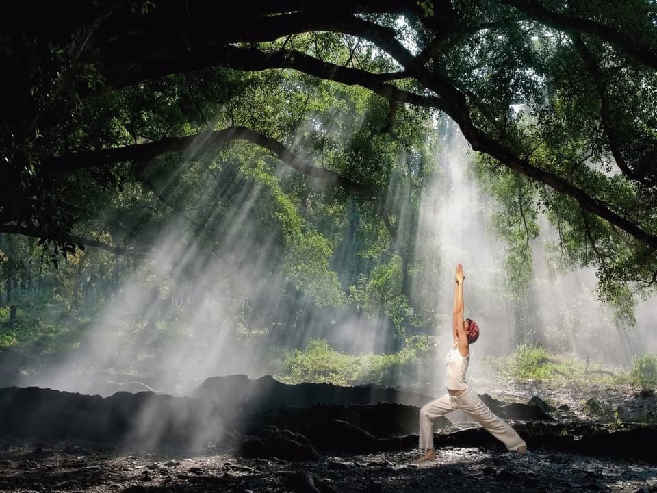 Fototapeta Joga w lesie o świcie