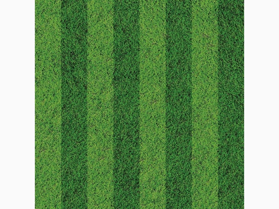 Fototapeta Zielone pasy trawy na boisku