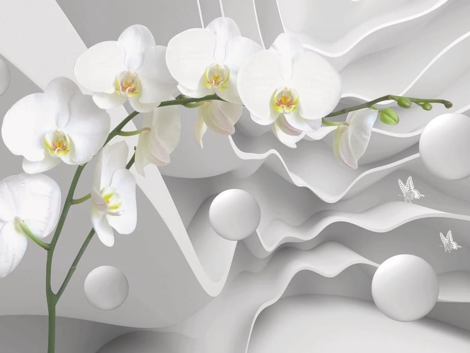 Fototapeta Białe Orchidee na Abstrakcyjnym Tle na wymiar
