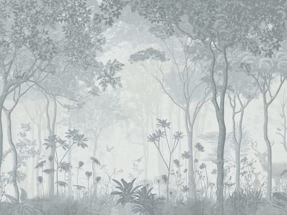 Fototapeta Las z mglistą atmosferą na wymiar