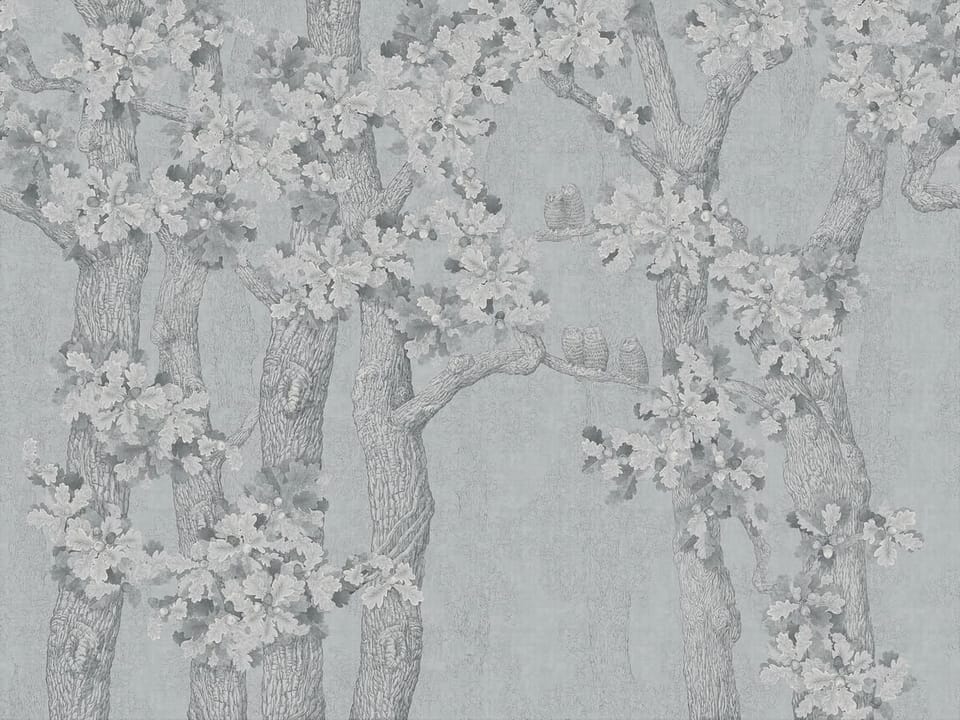 Fototapeta Drzewa z liśćmi i gałęziami na wymiar