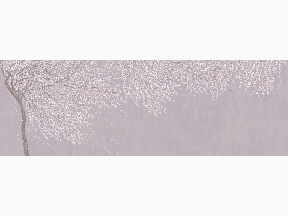 Fototapeta Sakura na gałęziach drzewa na wymiar
