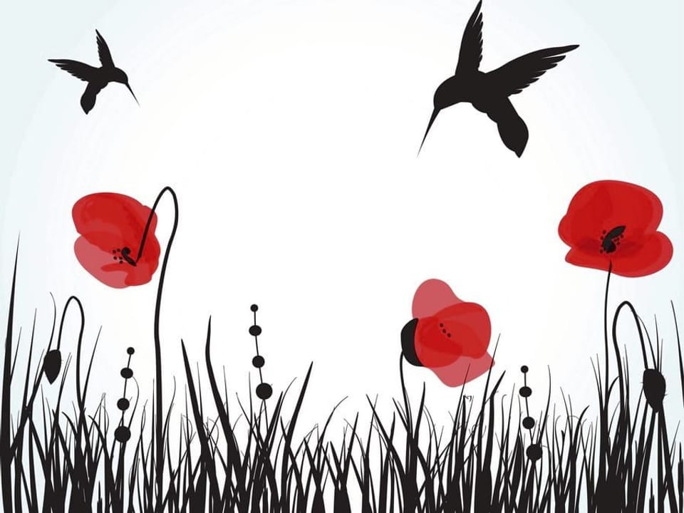 Fototapeta Kolibry i Maki na Jasnym Tle