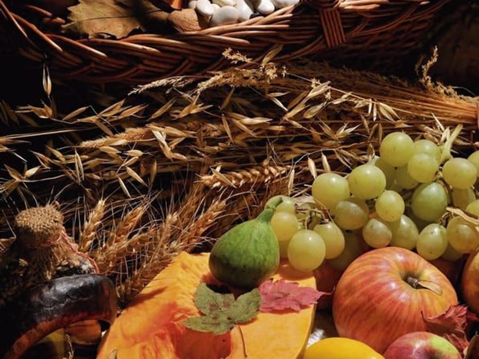 Fototapeta Kosz pełen owoców i warzyw