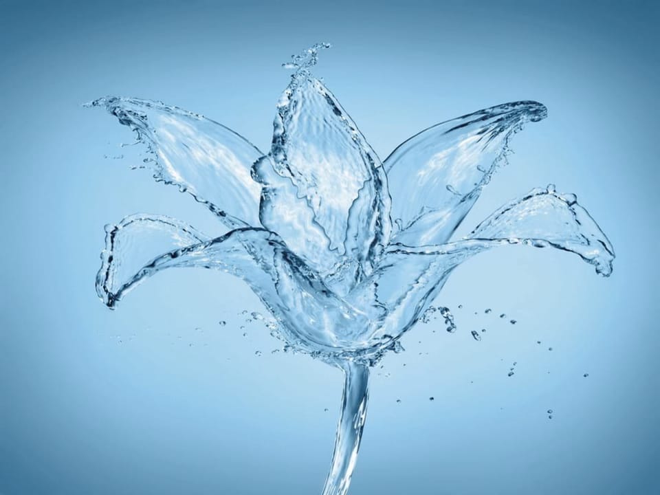 Fototapeta Kwiat z wody na niebieskim tle