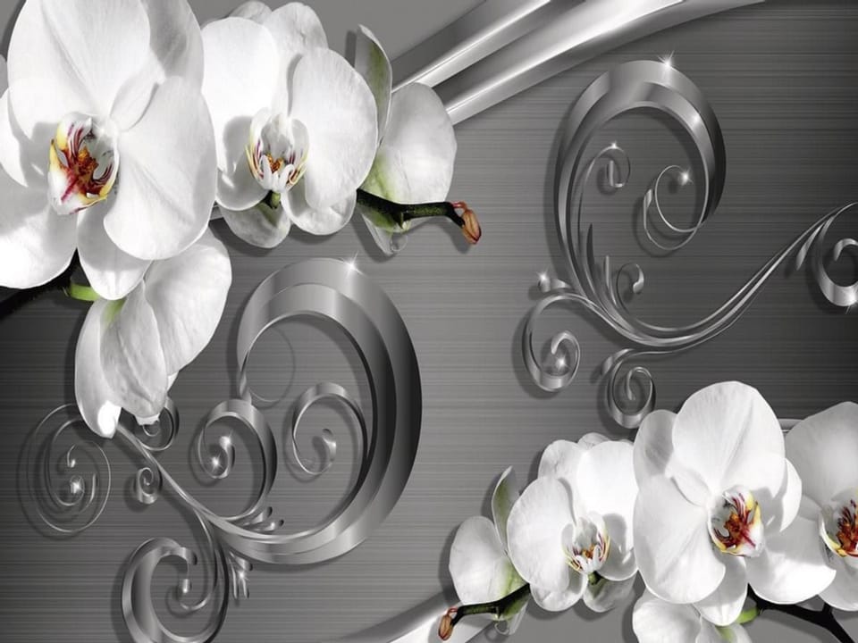 Fototapeta Białe orchidee na srebrnym tle na wymiar