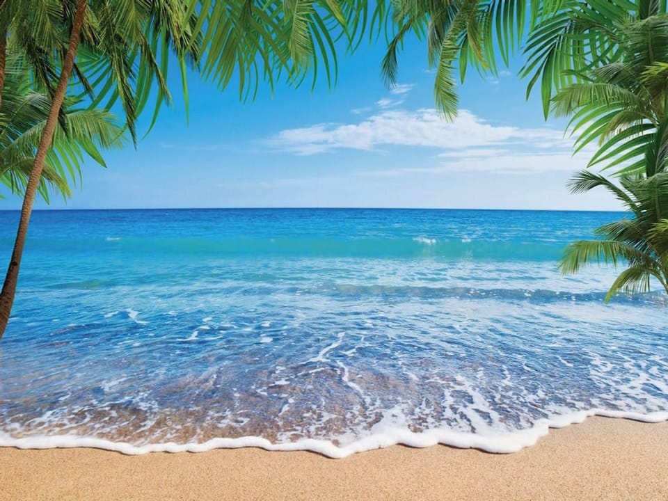 Fototapeta Plaża z palmami i oceanem na wymiar