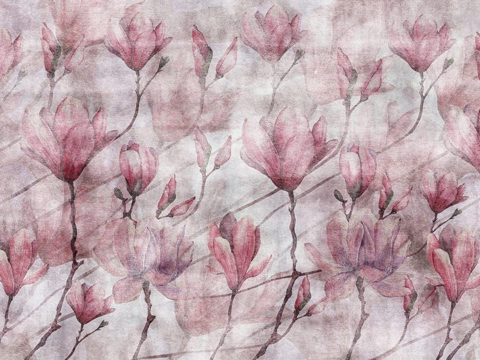 Fototapeta Magnolie na gałęziach w rozkwicie na wymiar