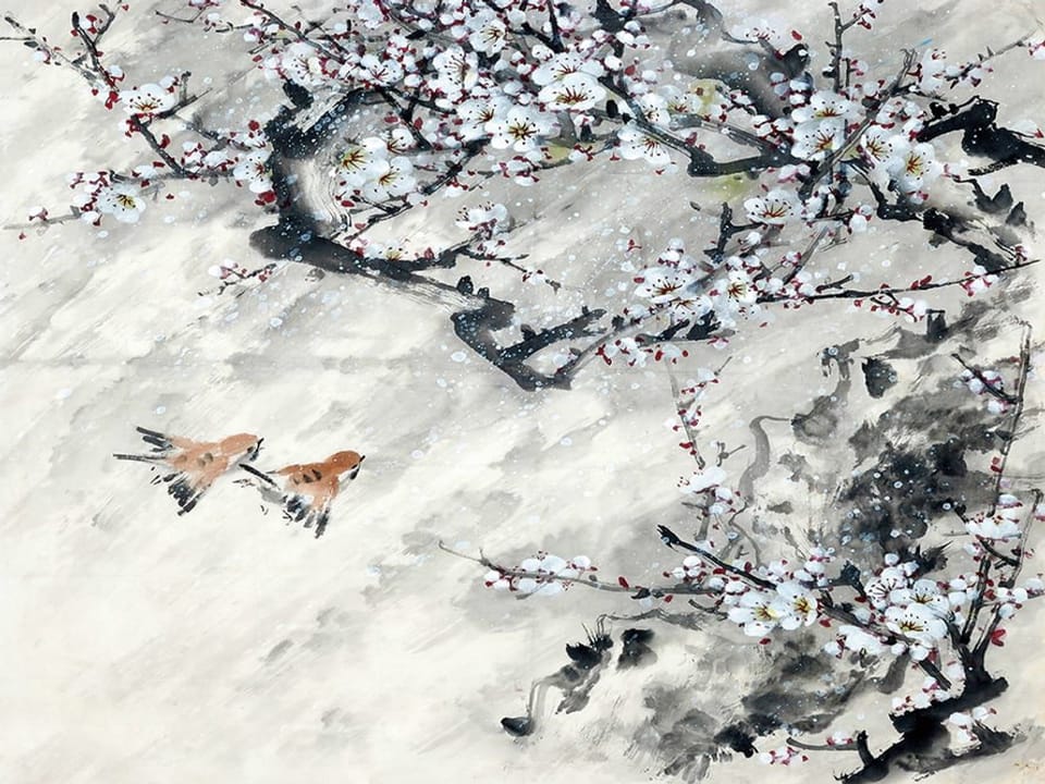 Fototapeta Sakura w rozkwicie na wymiar