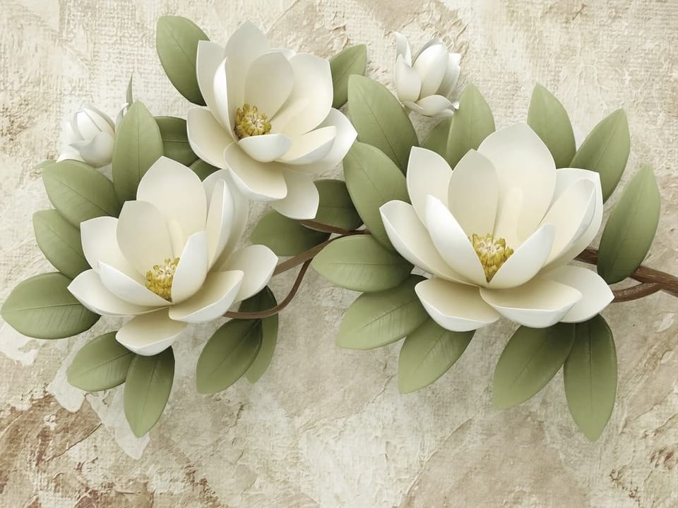 Fototapeta Białe Magnolie na Gałęzi na wymiar