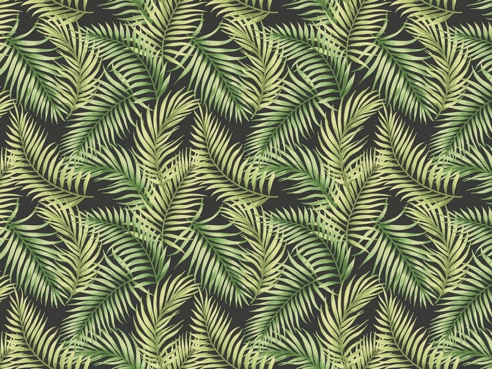 Fototapeta Zielone Liście Palmowe na Ciemnym Tle na wymiar