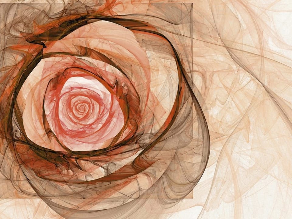 Fototapeta Abstrakcyjny wzór róży