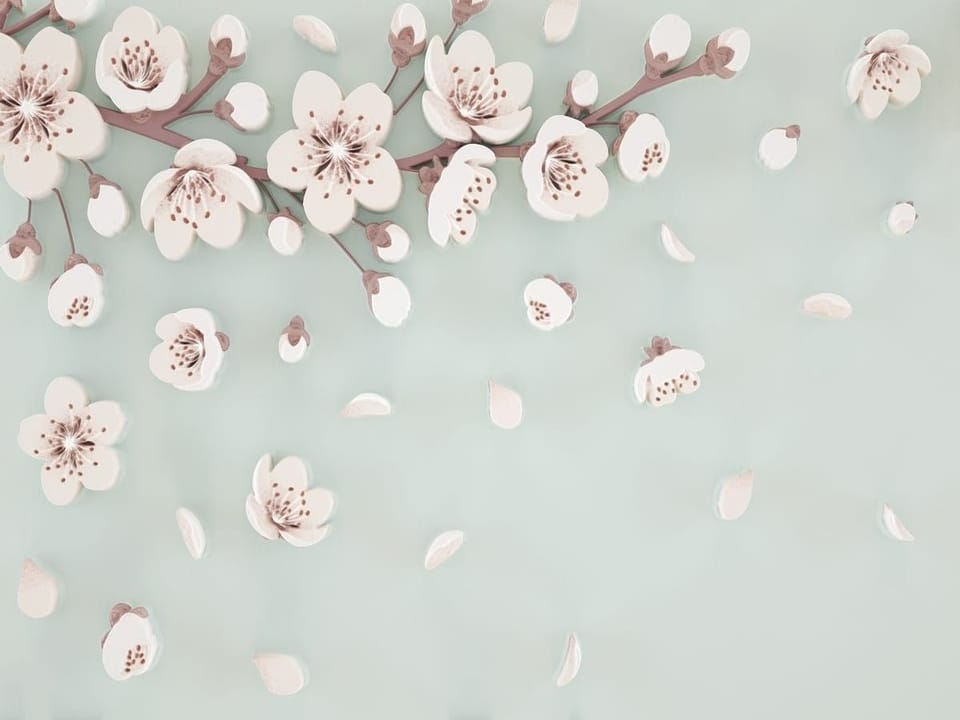 Fototapeta Gałąź Sakura na Jasnym Tle na wymiar
