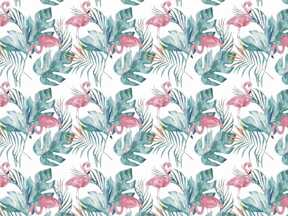 Fototapeta Flamingi i Liście na Białym Tle na wymiar