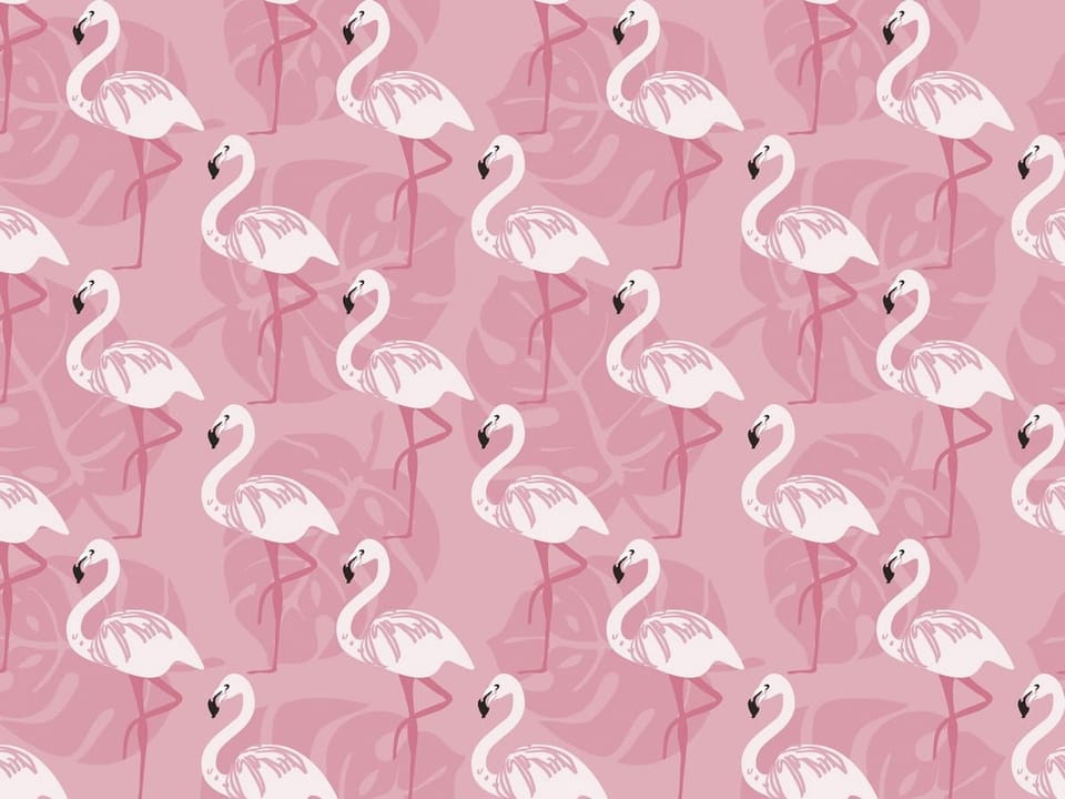 Fototapeta Flamingi na różowym tle na wymiar