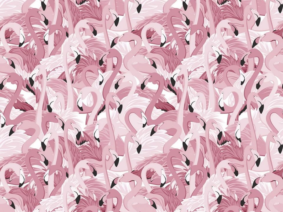 Fototapeta Różowe Flamingi w Harmonii na wymiar