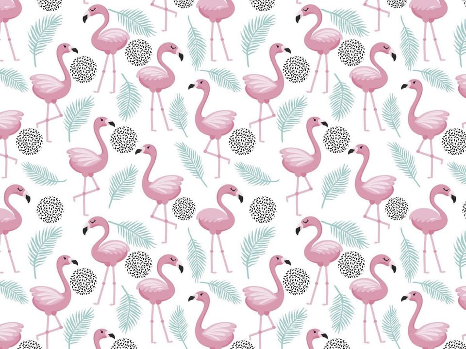 Fototapeta Różowe flamingi i liście palmowe na wymiar