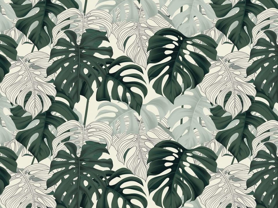 Fototapeta Monstera na jasnym tle na wymiar