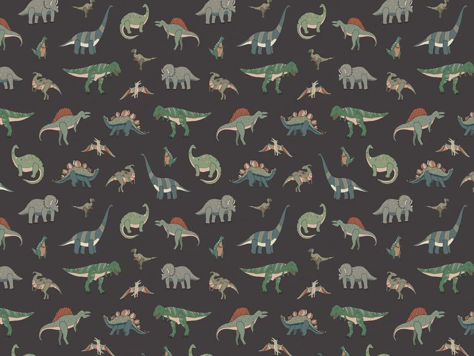 Fototapeta Dinozaury na ciemnym tle na wymiar