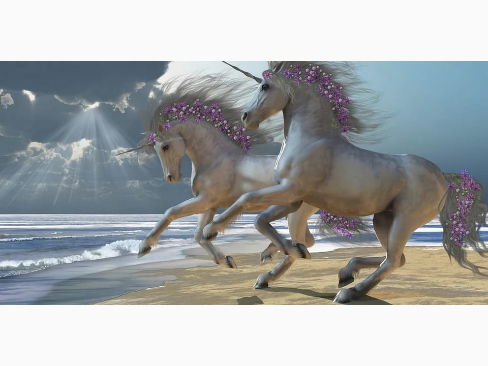 Fototapeta Jednorożce na piaszczystej plaży