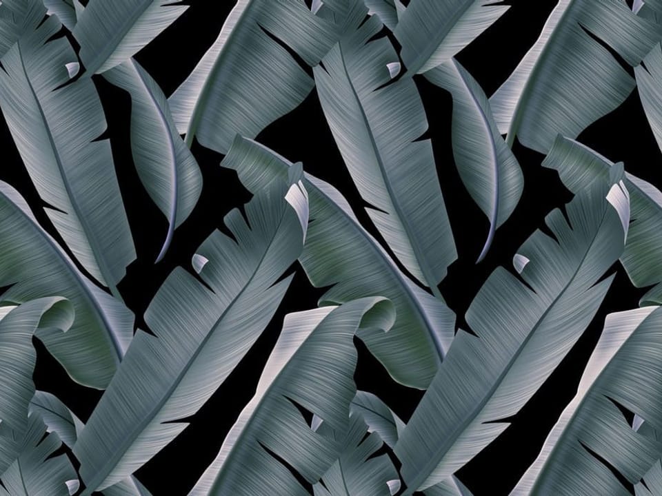 Fototapeta Liście bananowca na ciemnym tle na wymiar