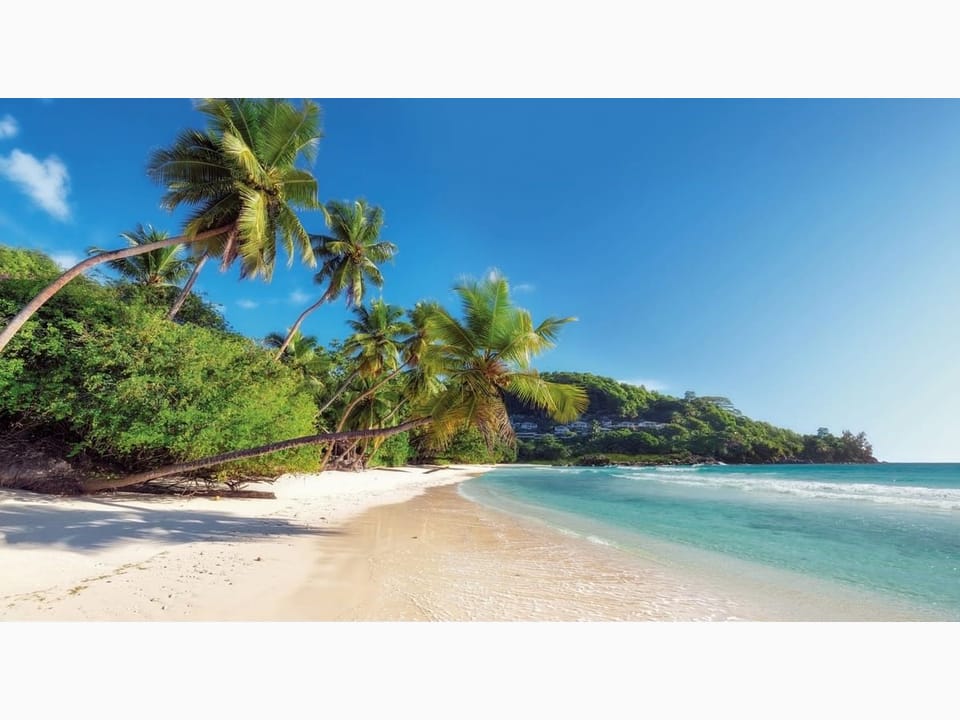 Fototapeta Tropikalna Plaża z Palmami na wymiar